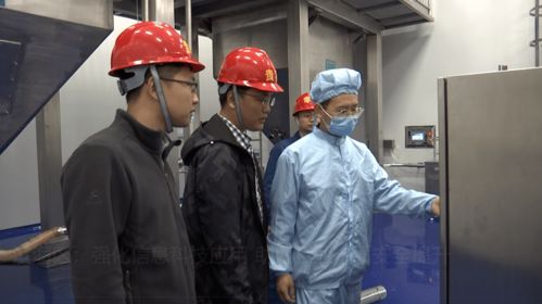 濱海區(qū)強化信息科技應用，助力企業(yè)安全管理與技術開發(fā)